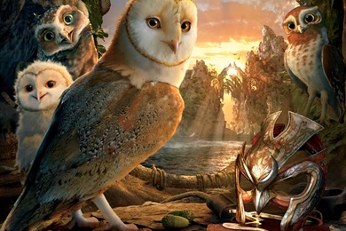 Download Legend Of The Guardians The Owls Of Ga Hoole Wallpapers ...