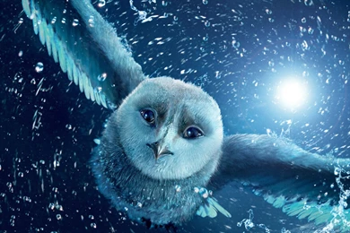 22 Legend Of The Guardians: The Owls Of Ga'Hoole HD Wallpapers ...
