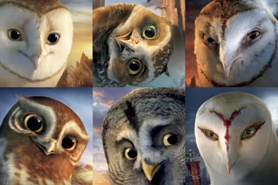 Guardians Of Gahoole On Thebeastofliterature DeviantArt