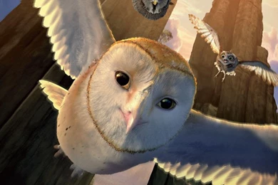 Legend Of The Guardians Desktop Wallpapers