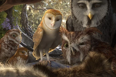Legend Of The Guardians: The Owls Of Ga'Hoole (2)