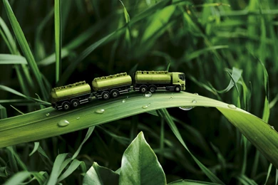 Green Nature Leaves Trucks Funny Plants Road Train Photo ...