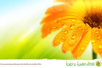 Wallpapers « Bio & Bien être.fr » « Graphiste