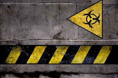 Bio Hazard 1280x1024 Beta 1 By Mrfett On DeviantArt