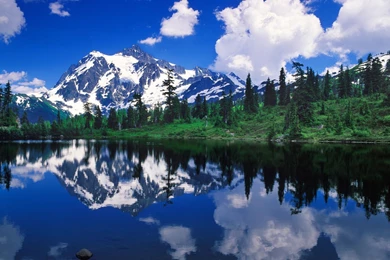 Wallpapers Discovery Discoveries Images Mousesb Nature Naturewide ...