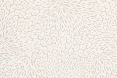 Dahlia Wallpapers   Serena & Lily Site