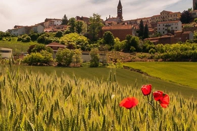 Town Plain Wallpapers