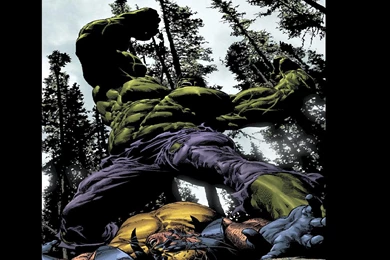 Hulk Vs Wolverine   (
