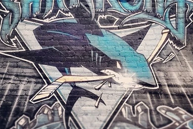 This Is Sharks Territory! Catch An NHL Game At HP Pavilion ...