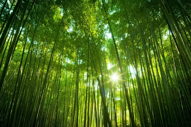 Nature HD Wallpapers Kemecer.com