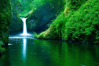Waterfall Forest Backgrounds Wallpapers