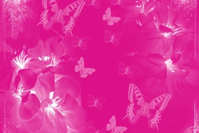 Download Pink Butterflies Graphics Code Comments Pictures ...