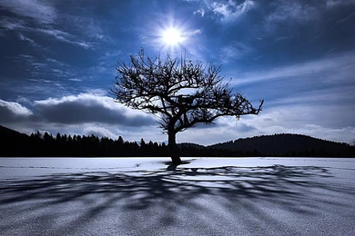 Wallpapers Despair Hd The One 1920x1080