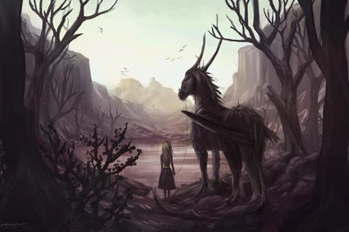 VALLEY OF DESPAIR WALLPAPER   (