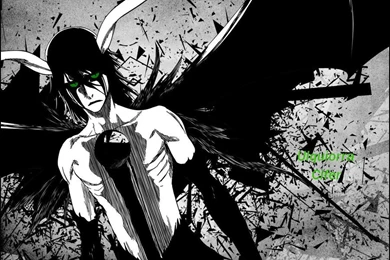 Ulquiorra Green Eyed Despair Wallpapers By Daichi10Hitsugaya On ...