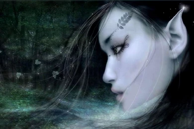 Do Not Despair >> HD Wallpaper, Get It Now!