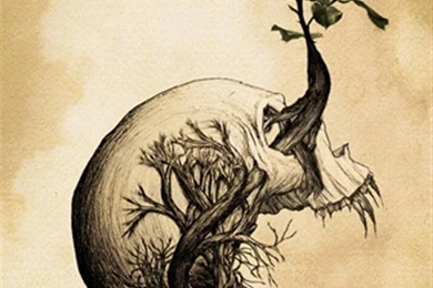 Skull Rose iPhone Wallpapers, iPhone 5(s)/4(s)/3G Wallpapers