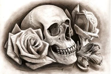 Skull And Roses Wallpapers Full HD