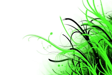 White And Green Abstract Wallpapers