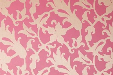 Wallpapers – Trendesign