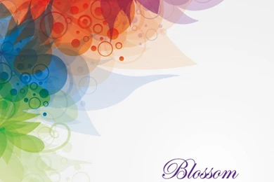 30 Free Hi Qty Vector Graphics For Designers