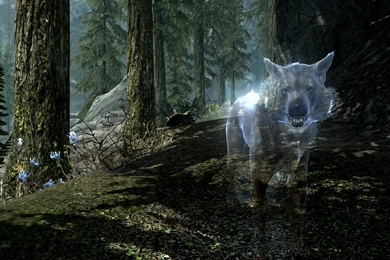 Videogames: Skyrim Elder Scrolls Cg Digital Art Screenshot Animals ...