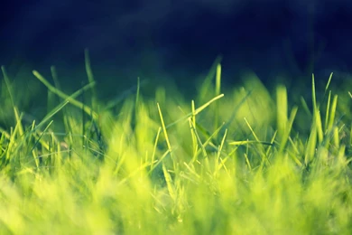 Facebook Cover Best Wallpapers Free