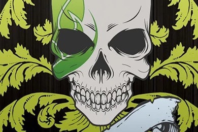 iPhone 5 Wallpapers HD Crazy Design Creative Skull, Backgrounds