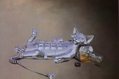 Funny Miscellaneous Wallpapers   Crazy Frankenstein