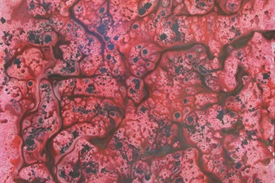 Crazy Cool Wallpapers   Wallpapers HD Fine