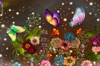 Butterflies Wallpapers