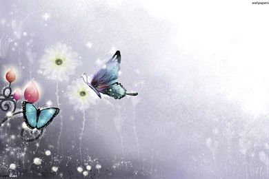 Colorful Butterflies HD Wallpapers
