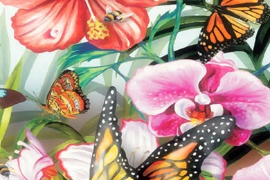 Color Butterflies Iphone 6 Plus Wallpaper, iPhone 6 Plus Wallpapers