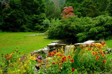 Forest Garden Garden Flower – Nature Forests HD Desktop Wallpapers