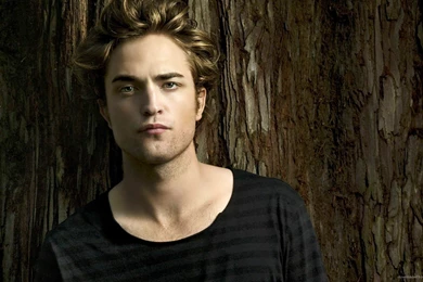 HD Robert Pattinson On The Bark Backgound Wallpapers