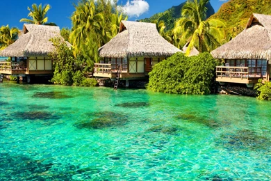 Beautiful Philippines HD Photo.jpeg