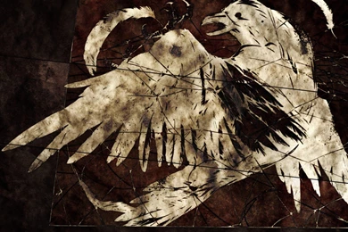 351 Air Gear HD Wallpapers