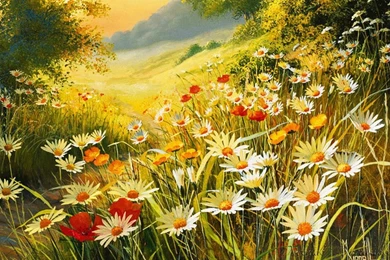 Flower Meadow Hill Forest Wallpapers