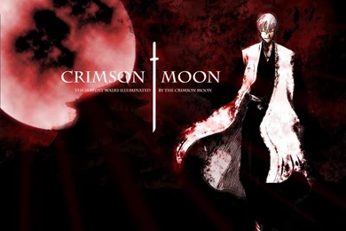Gin Ichimaru ¡¡   Ichimaru Gin Wallpapers (8732961)   Fanpop