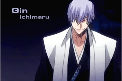 Gin   Ichimaru Gin Wallpapers (25481781)   Fanpop