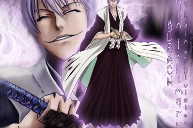Download Anime World Bleach Ichimaru Gin Wallpapers 1024x819