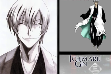DeviantArt: More Like Ichimaru Gin Wallpapers By ShraXis