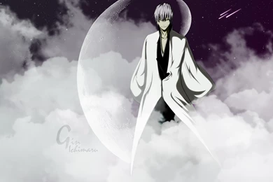 357 Gin Ichimaru HD Wallpapers