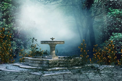 Fountain Forest Flower Fantasy Wallpapers