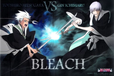 Gin Ichimaru And Toshiro Hitsugaya   Gin Ichimaru Wallpapers ...