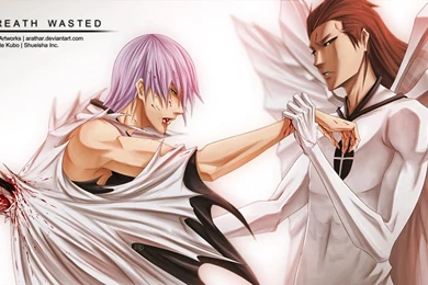 THE END OF GIN ICHIMARU WALLPAPER   (