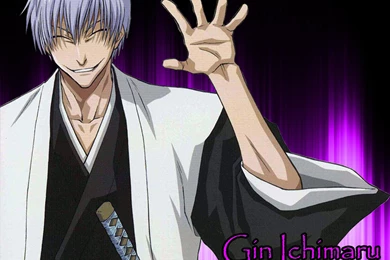 Bleach Wallpapers   Black Panther's Den Wallpapers (35138356)   Fanpop