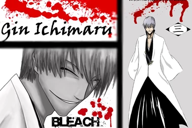 DeviantArt: More Like Gin Ichimaru Wallpapers By Armork66