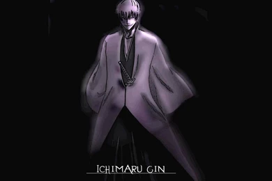 Wallpapers Ichimaru Gin Kira Izuru The Free Bleach 1024x768 ...