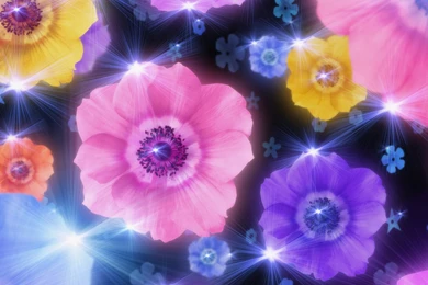 Desktop Wallpapers · Gallery · Computers · Diamonds Flowers